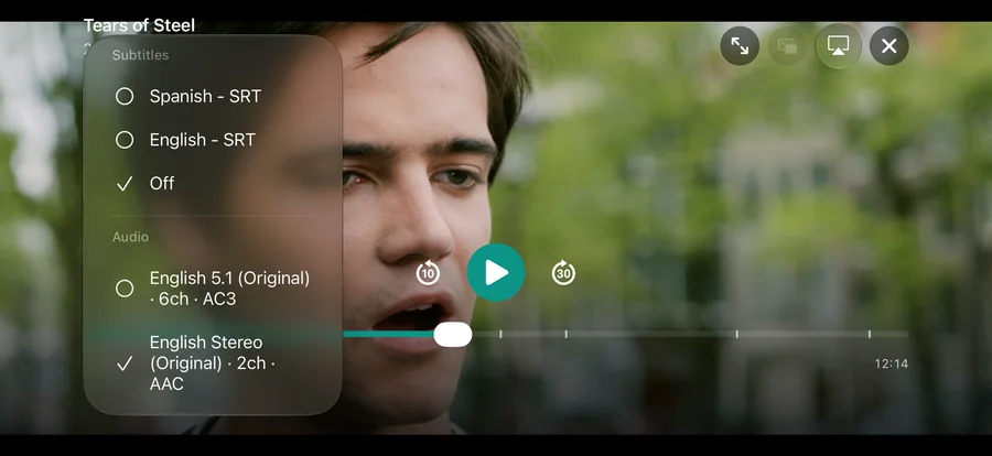 iPhone: Playback audio and subtitles