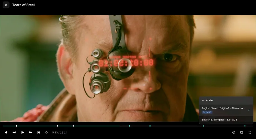 Web app: Playback audio selection