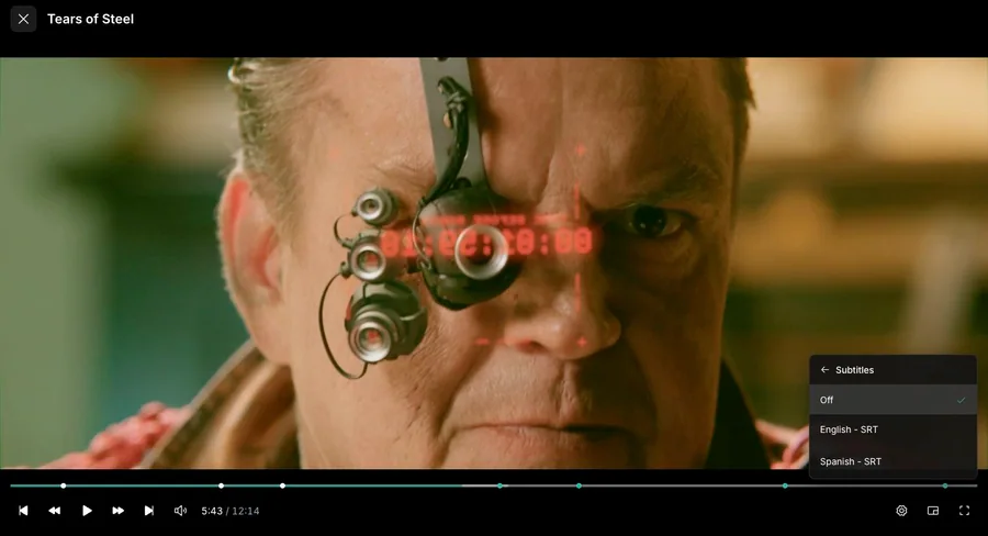 Web app: Playback subtitle selection
