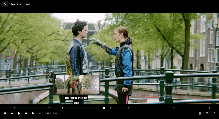 Web app: Playback seek preview